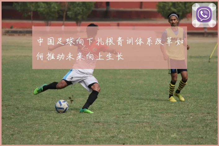 中国足球向下扎根青训体系改革如何推动未来向上生长