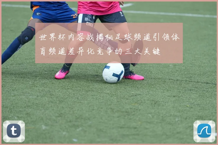 世界杯内容战揭秘足球频道引领体育频道差异化竞争的三大关键